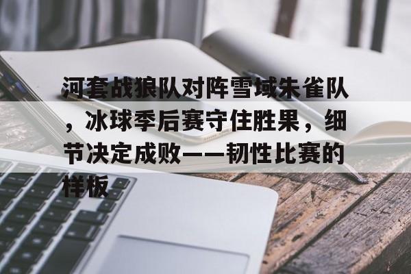河套战狼队对阵雪域朱雀队，冰球季后赛守住胜果，细节决定成败——韧性比赛的样板-爱游戏官方网站